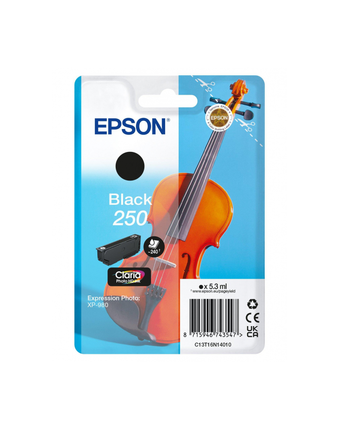 EPSON Singlepack Black 250 ink główny