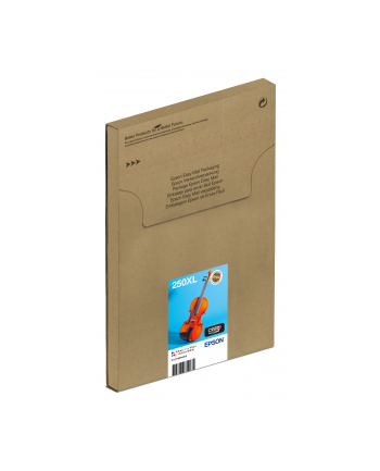 EPSON Multipack 6-colours 250XL Ink Easymail nr 1