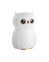 Ansmann Mobiles Nachtlicht Eule Finn - nr 1