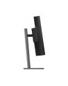 LENOVO ThinkVision P40WD-40 40inch WLED 5120x2160 21:9 24Hz-120Hz 400 cd/m2 HDMI CAM - nr 11
