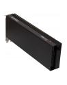 Karta graf SPARKLE Intel Arc PRO B60 PASSIVE 24GB - nr 3