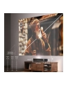 PROJEKTOR HISENSE PT1 LASER 4K - nr 7