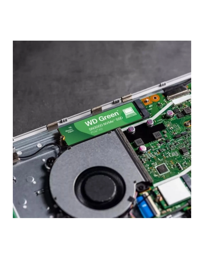 SSD WD Green SN3000 1TB NVMe WDS100T4G0E główny