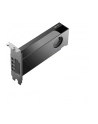pny technologies PNY RTX PRO 2000 Blackwell VCNRTXPRO2000-PB - nr 11