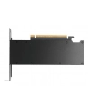 pny technologies PNY RTX PRO 2000 Blackwell VCNRTXPRO2000-PB - nr 17