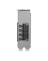pny technologies PNY RTX PRO 2000 Blackwell VCNRTXPRO2000-PB - nr 24