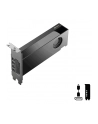pny technologies PNY RTX PRO 2000 Blackwell VCNRTXPRO2000-PB - nr 25