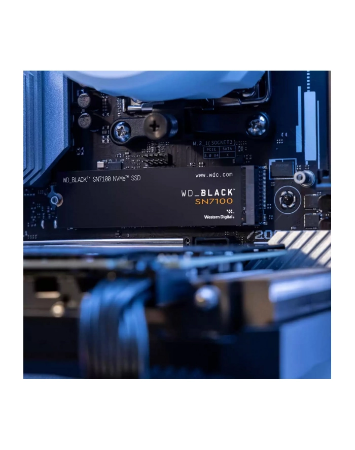 sandisk WD Black główny