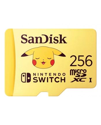 SanDisk nr 1