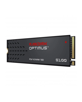 SanDisk nr 1