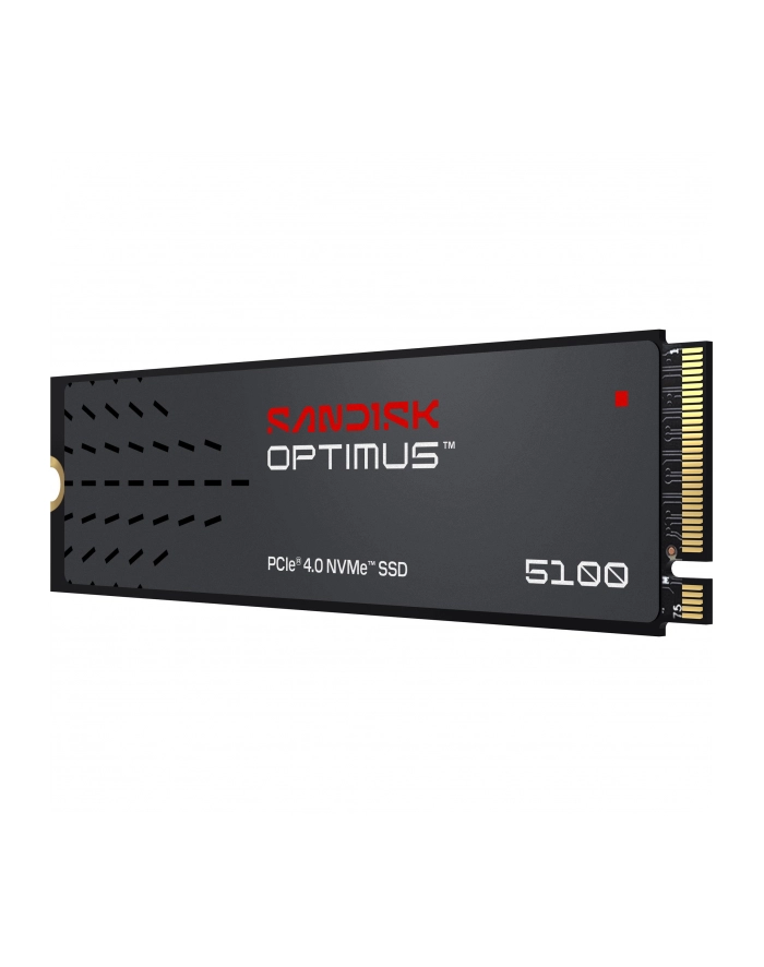 SanDisk główny