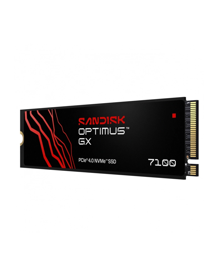 SanDisk główny