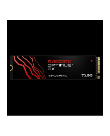 SanDisk nr 2
