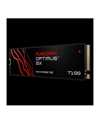 SanDisk nr 1