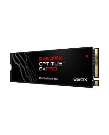 SanDisk nr 1