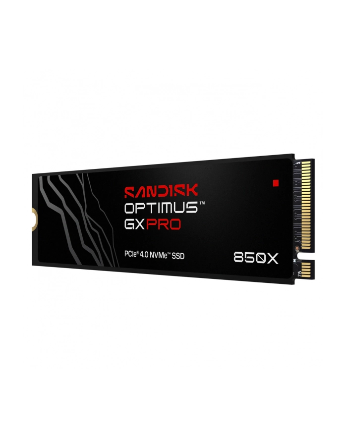 SanDisk główny