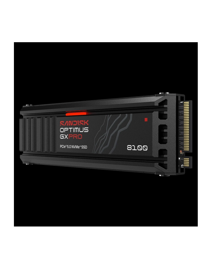 SanDisk główny