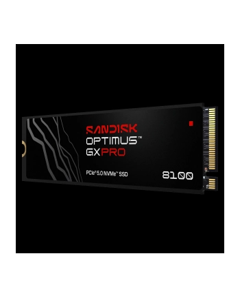 SanDisk nr 2