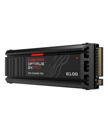 SanDisk nr 1