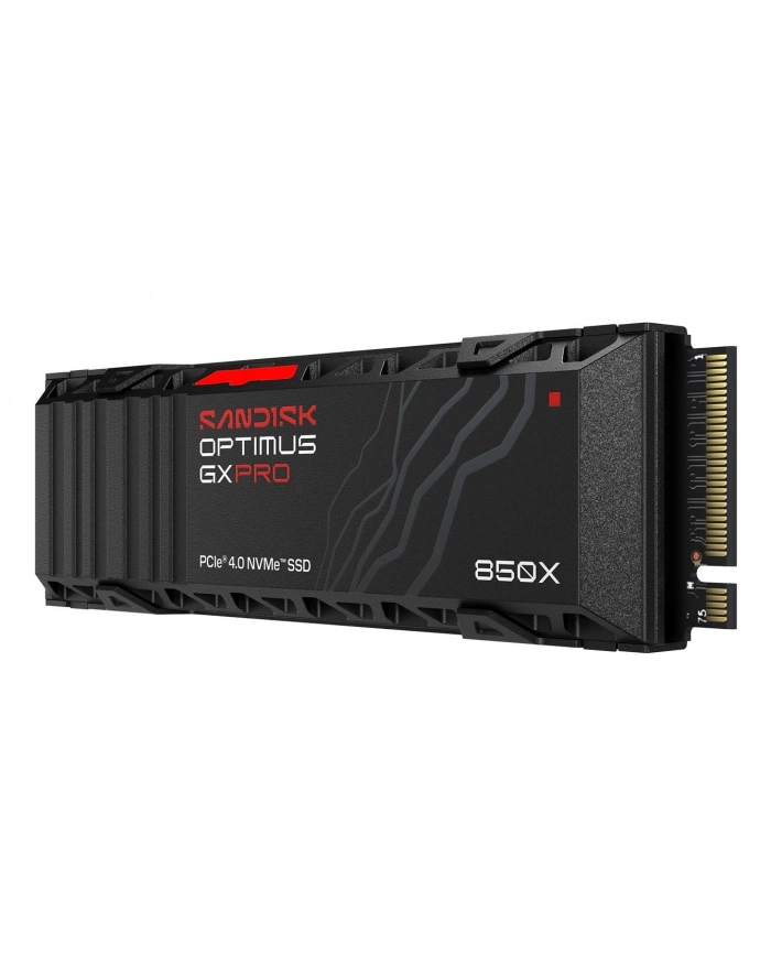 SanDisk główny
