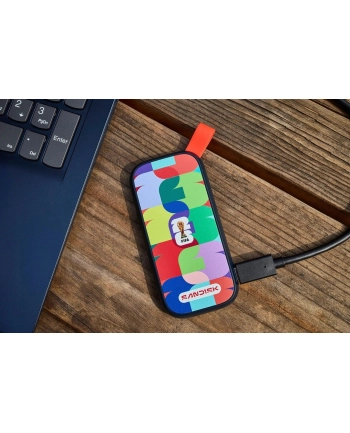 SanDisk nr 1