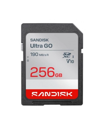 SanDisk nr 1