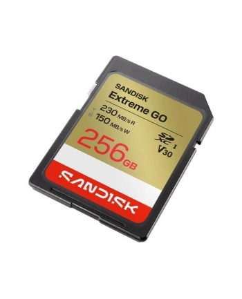 SanDisk nr 2