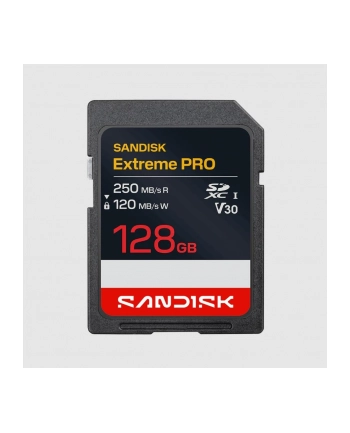 SanDisk nr 1
