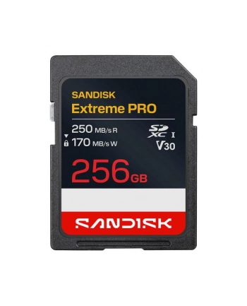 SanDisk nr 1