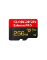 SanDisk - nr 1