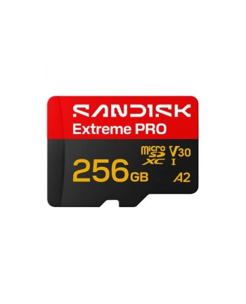 SanDisk nr 1