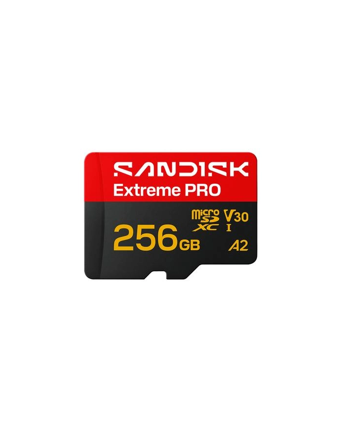 SanDisk główny