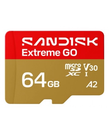 SanDisk nr 1