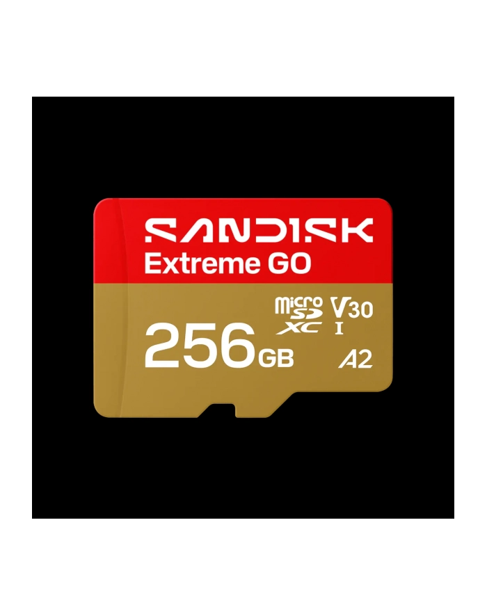 SanDisk główny