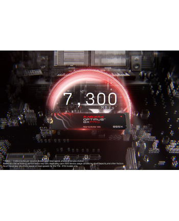 SanDisk