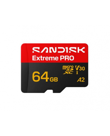 SanDisk nr 1