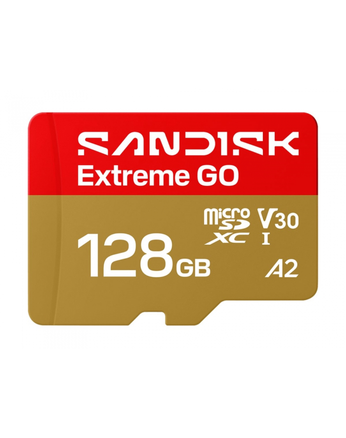 SanDisk główny