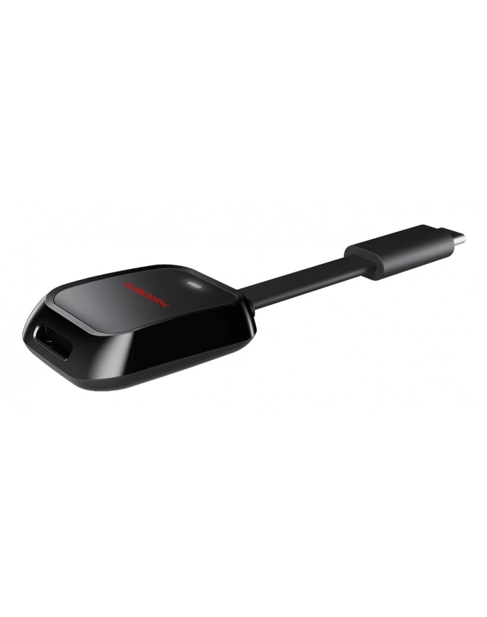 SanDisk główny