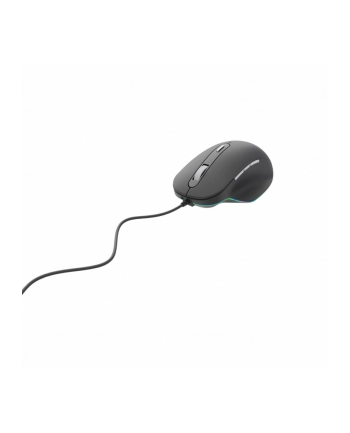 gembird Mysz optyczna USB 1.35m czarna
