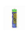gembird Akumulator litowo-jonowy typ 18650 3,7V 2600 mAh - nr 1