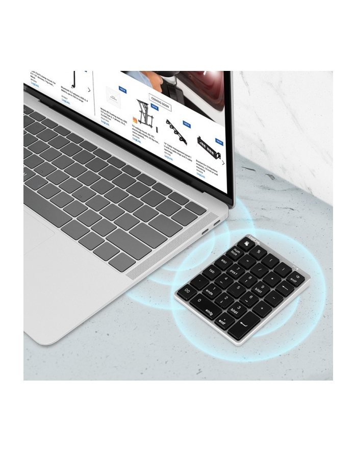 logilink Bezprzewodowa klawiatura numeryczna, BT5.0 główny