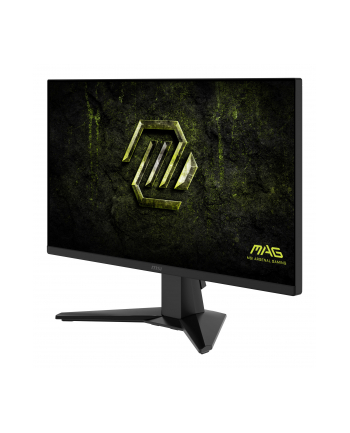 msi Monitor 23.8 cala MAG 245F X24 LED/FHD/Flat/240Hz/czarny