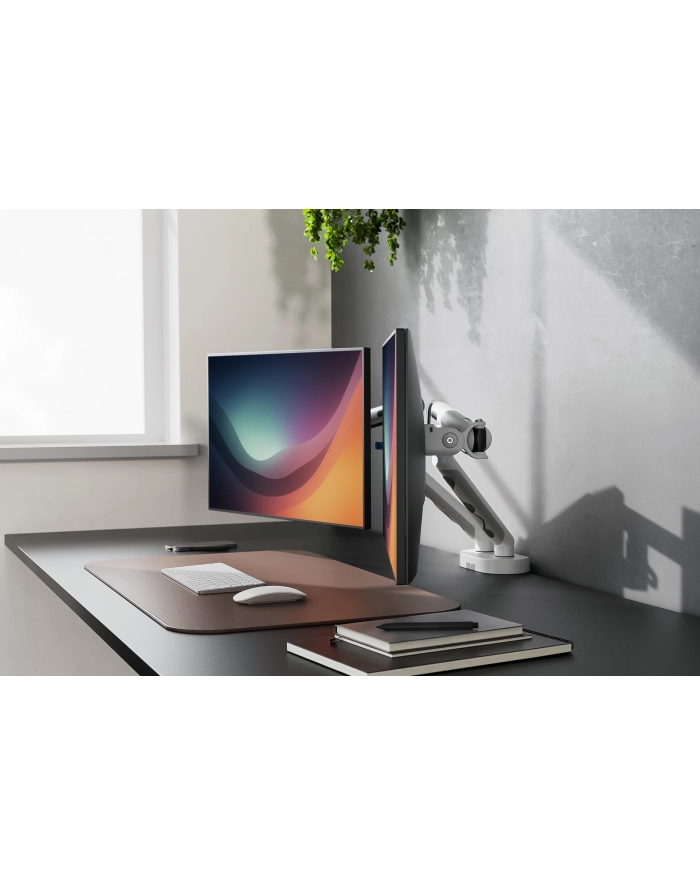 digitus Ramię biurkowe podwójne z zaciskiem i sprężyną mechaniczną 2x LCD max. 35' obciążenie 2x10kg, VESA: 75x75, 100x100, białe główny