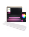 Philips Hue Prostokątny Panel Surimu (8721103044556) - nr 12