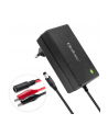 qoltec Ładowarka do akumulatora AGM GEL STD | Prostownik 24V | 19.2W |  5.5x2.1 | kabel 1.8m - nr 1