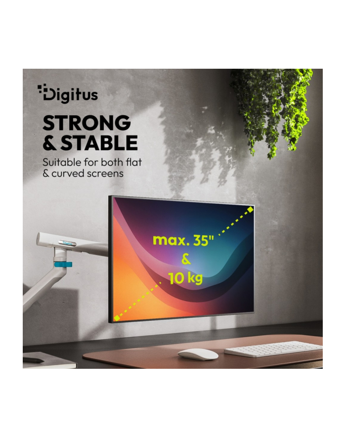 digitus Ramię biurkowe pojedyncze z zaciskiem i sprężyną mechaniczną 1x LCD max. 35' 10kg, VESA: 75x75, 100x100, białe główny