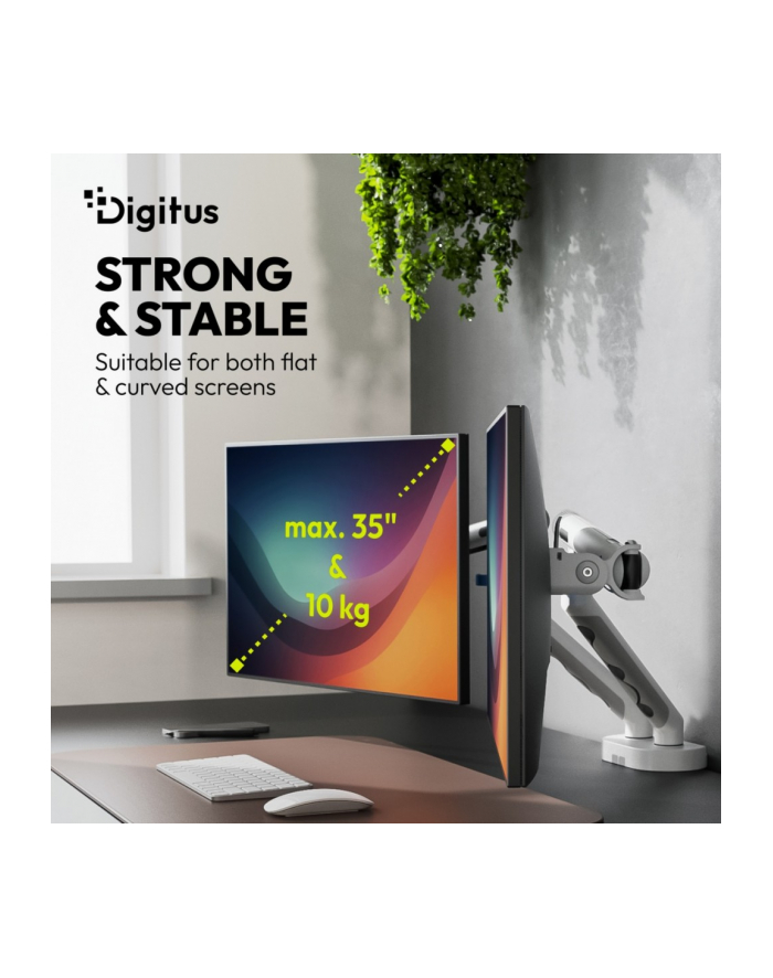 digitus Ramię biurkowe podwójne z zaciskiem i sprężyną mechaniczną 2x LCD max. 35' obciążenie 2x10kg, VESA: 75x75, 100x100, białe główny