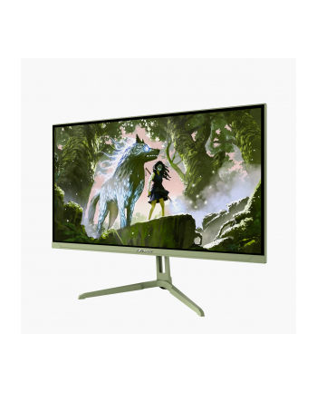 Arozzi | Nova | 24 '' | IPS | FHD | 16:9 | 200 Hz | 1 ms | 1920 x 1080 pixels | 300 cd/m² | HDMI ports quantity 1 | Forest Green nr 1