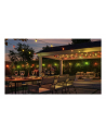 Philips Hue Festavia Globe String Lights for Outdoor Use, 14 m | 30 W | Bluetooth, Zigbee - nr 19