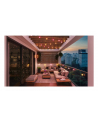 Philips Hue Festavia Globe String Lights for Outdoor Use, 14 m | 30 W | Bluetooth, Zigbee - nr 20